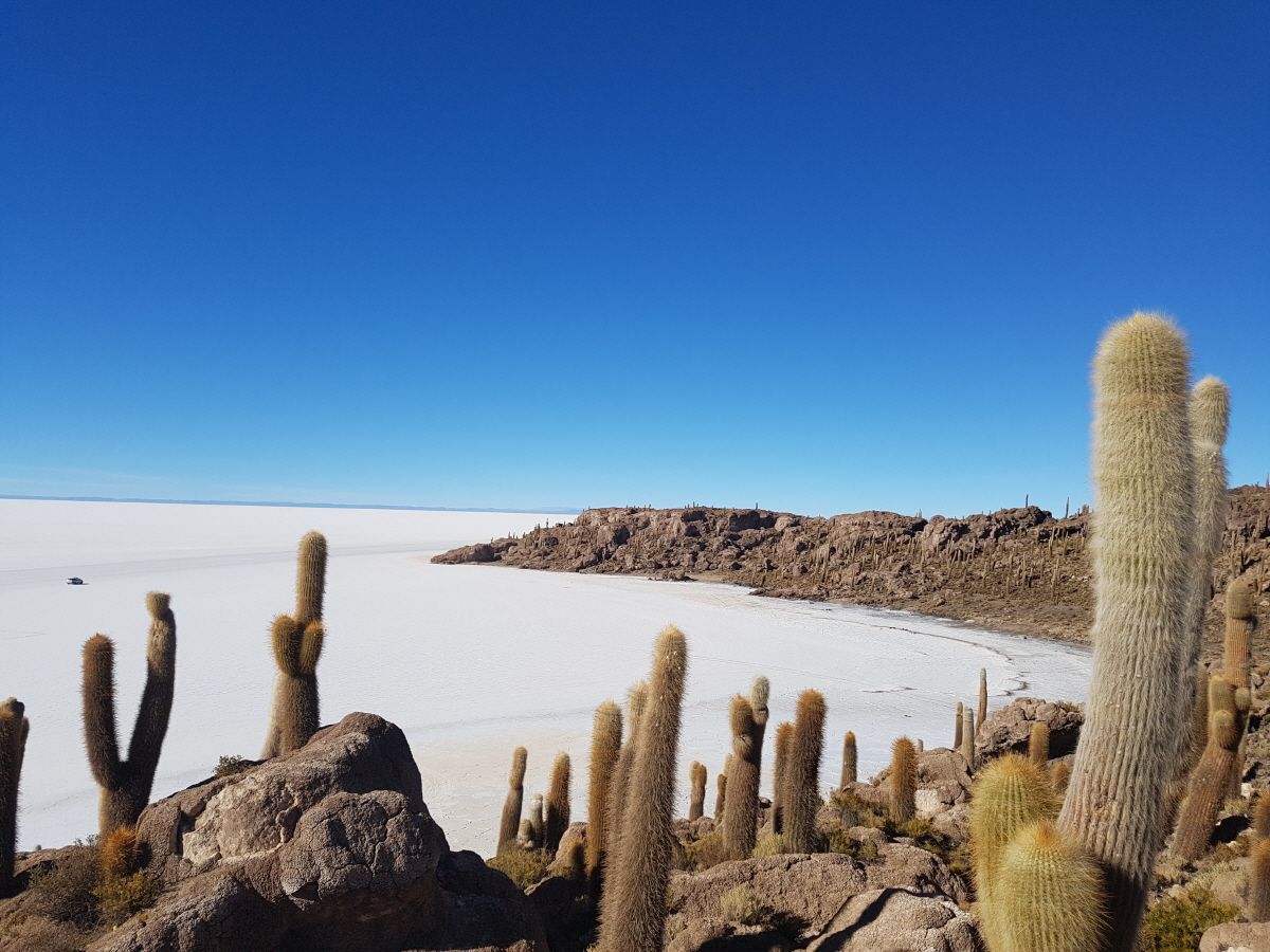 고대에 우유니 소금사막에 살았던 잉카원주민들이 조성해놓은 주거지이다. 아름은 '잉카 후아시 섬'이다. 