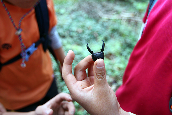몸뚱이가 없어진 사슴벌레의 집게를 주운 아이에게 곤충박사로 알려진 이서형 군이 설명해주고 있다. 
