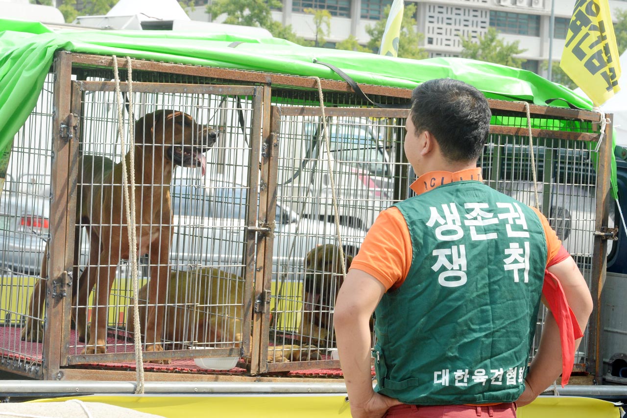  대한육견협회 회원들이 22일 오후 서울 종로구 세종로공원에서 ‘개고기 식용 합법화 촉구’ 집회를 열고 '개식용 합법화’를 요구하고 있는 가운데 이들이 끌고온 개들이 철창안에 갇혀 숨을 헐떡이고 있다.