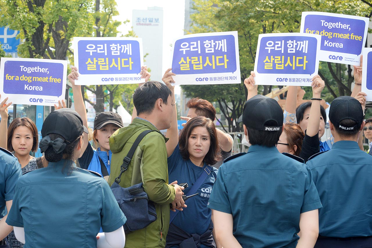  ‘개식용 합법화’를 요구하는 대한육견협회 회원 400여명이 22일 오후 서울 종로구 세종로공원에서 ‘개고기 합법화’를 요구하는 집회를 열고 있는 가운데 ‘동물권단체 케어 회원들’이 집회장 주변에서 '개식용'을 반대하는 피켓시위를 벌이고 있다.