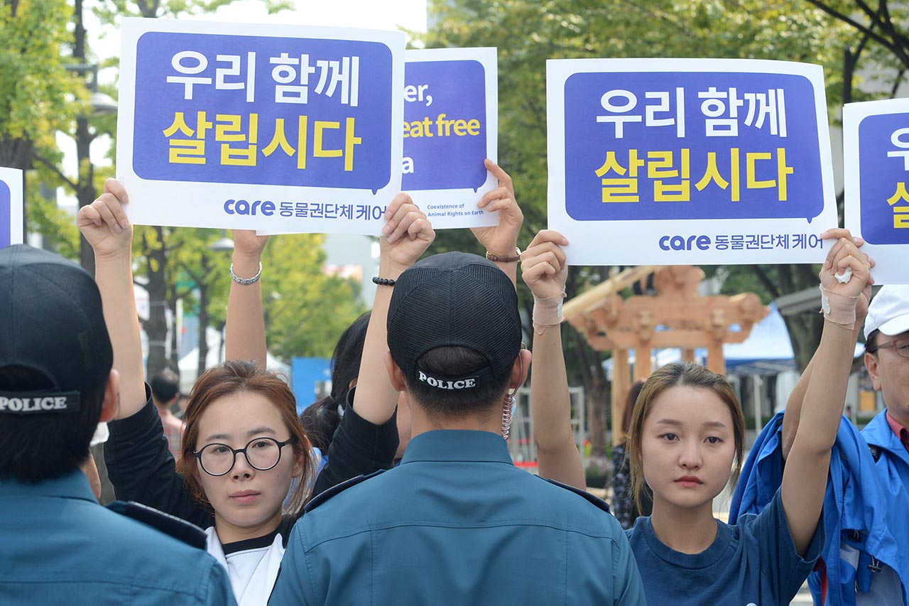  ‘개식용 합법화’를 요구하는 대한육견협회 회원 400여명이 22일 오후 서울 종로구 세종로공원에서 ‘개고기 합법화’를 요구하는 집회를 열고 있는 가운데 ‘동물권단체 케어 회원들’이 집회장 주변에서 '개식용'을 반대하는 피켓시위를 벌이고 있다.