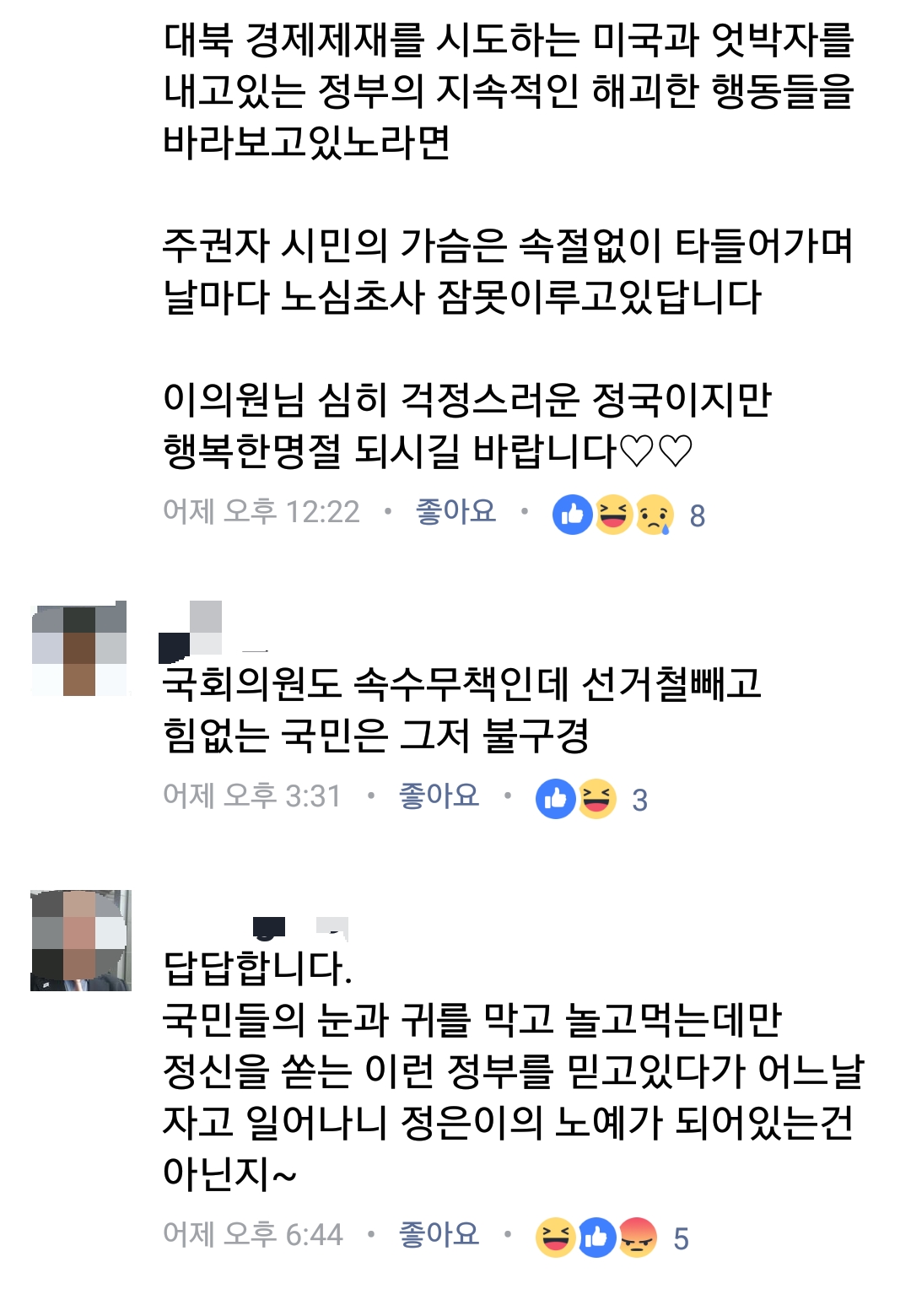 이언주 의원의 페이스북에 서울세계불꽃축제 '혈세' 발언에 지지자들이 남긴 댓글이다, 