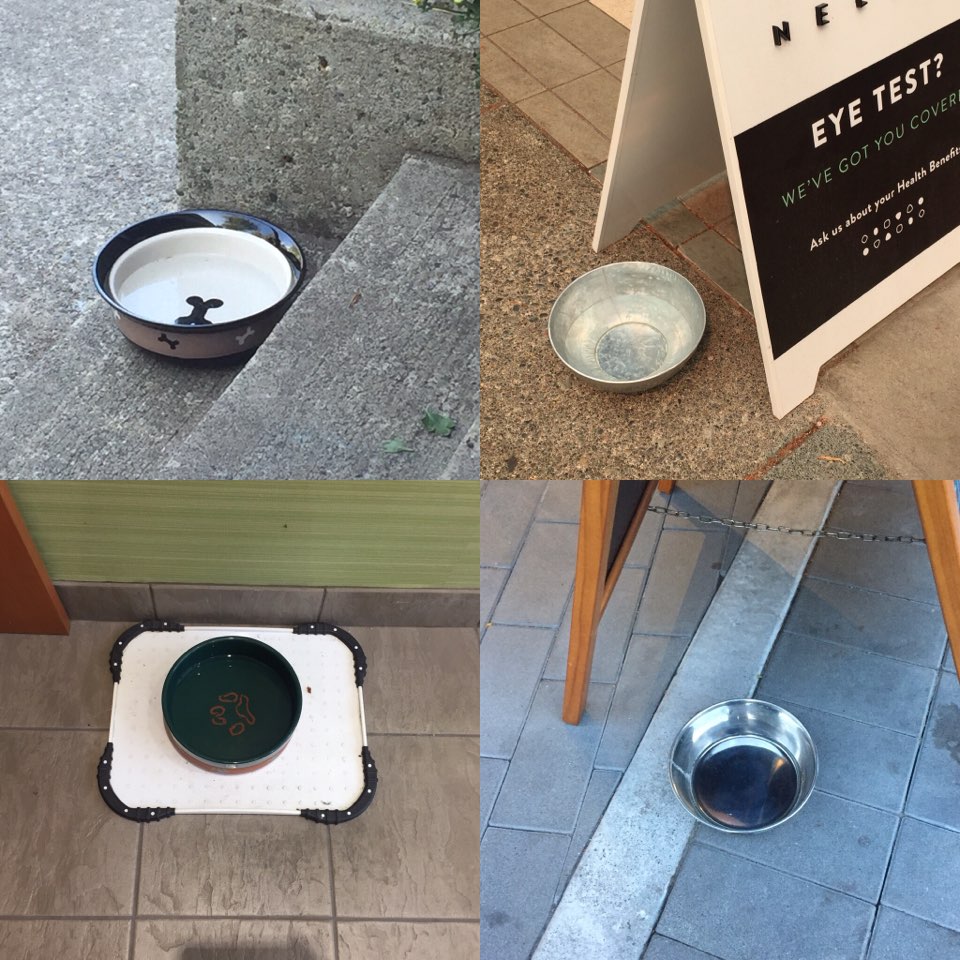 밴쿠버시의 상점, 음식점, 은행 등은 출입문 앞에 반려견을 위한 물그릇을 늘 준비해둔다. 
