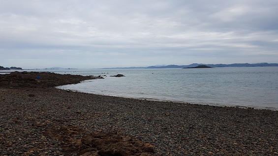  추도 해변은 한없이 평화로워 보이기만 한다. 하지만 육지에서 떠밀려온 쓰레기들이 곳곳에 숨어 있다. 