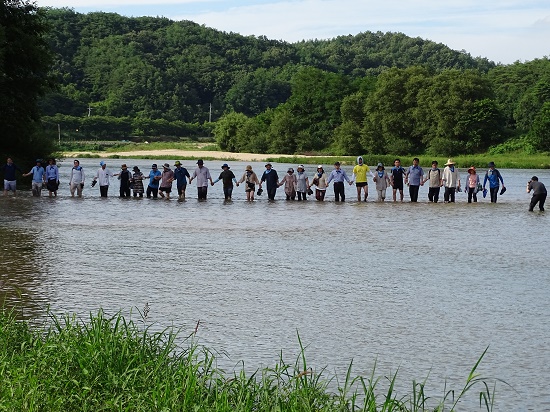    2015년 여름 사람들은 직접 내성천을 방문해 물에 발을 담그고 모래를 만지며 교감했다.  