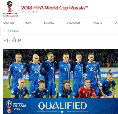  아이슬란드 축구 국가대표팀의 모습
