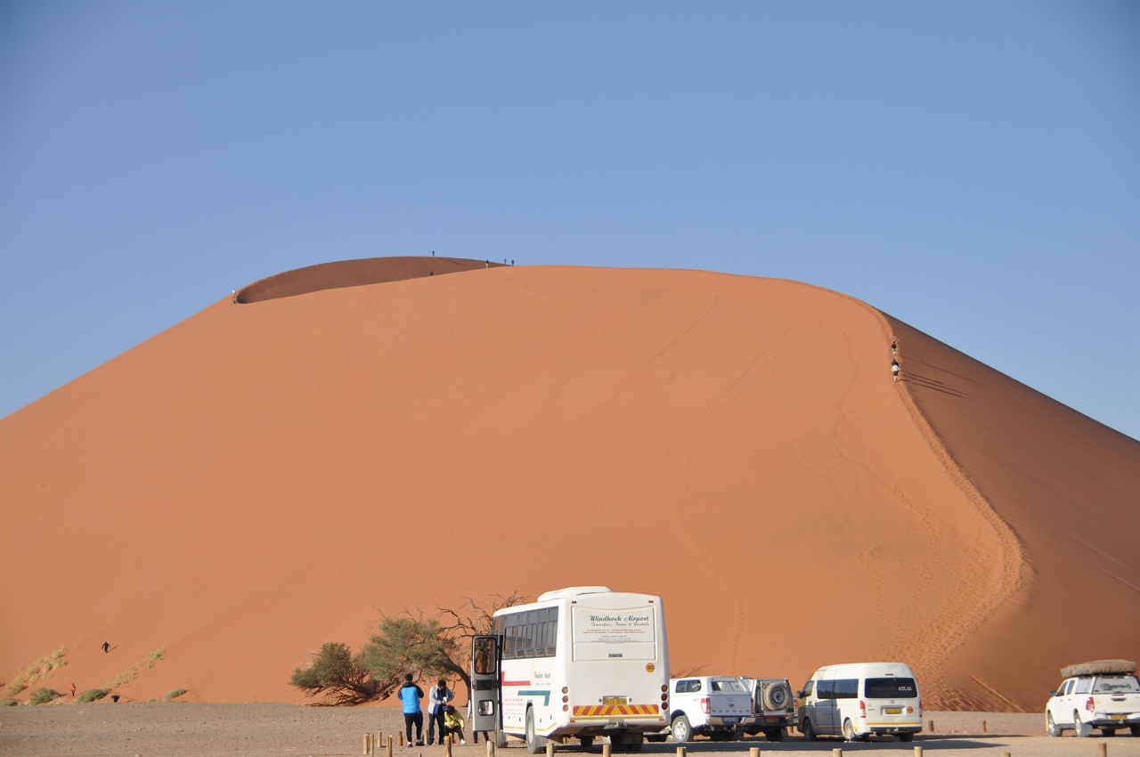 나미브사막의 듄 45