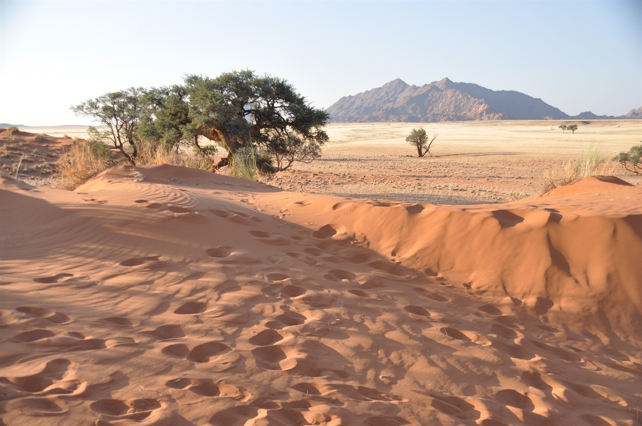나미브사막 주변의 황량한 풍경