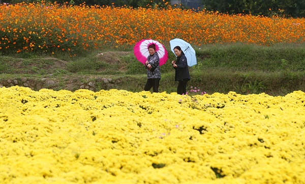  함양 상림경관단지.