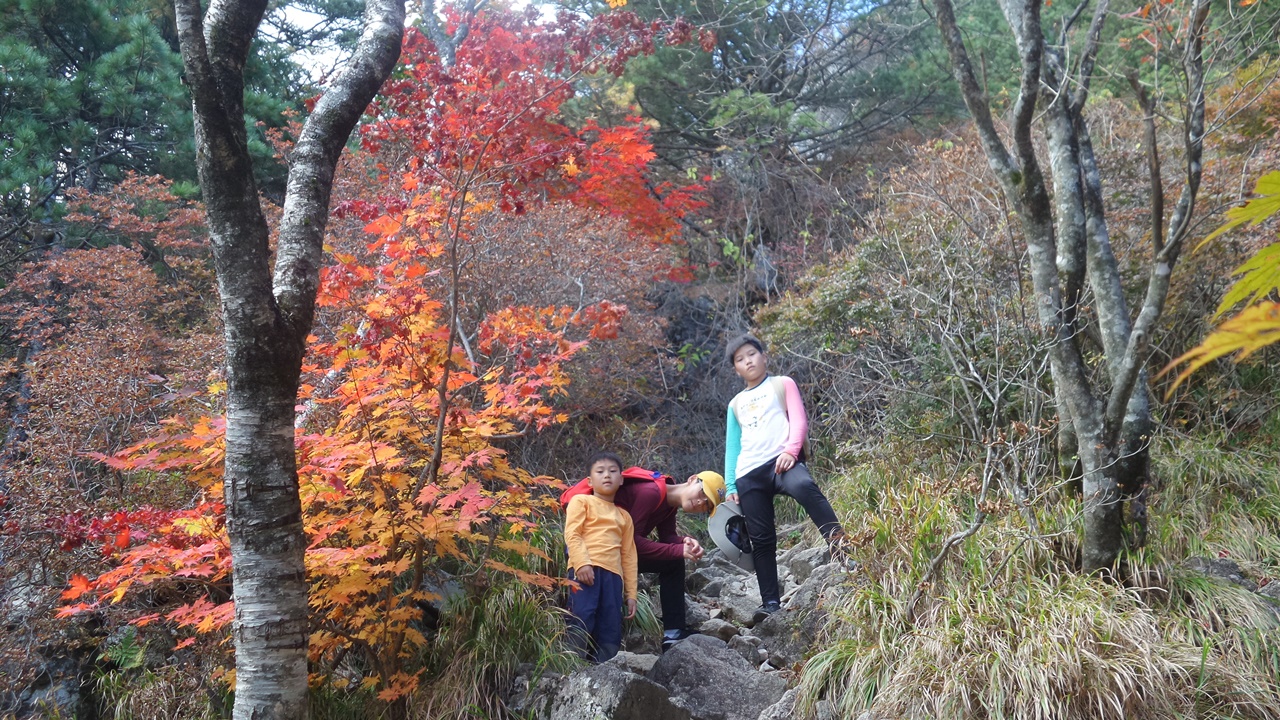 이제 아이들 이끌고 산에 오를 생각 버려야합니다. 오롯이 저의 속도를 찾아야합니다. 