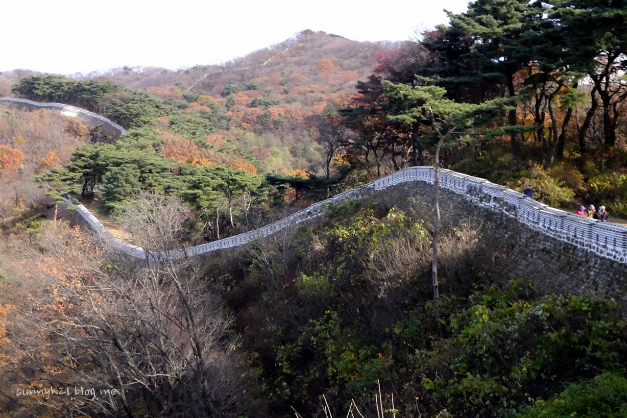 울창한 숲 사이로 이어지는 남한산성 길. 