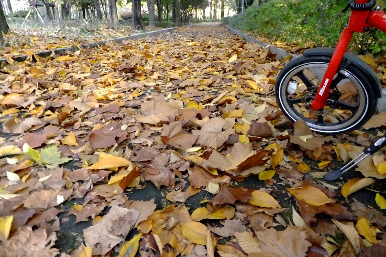 자전거타고 공원 숲길 곳곳을 산책할 수 있는 인천대공원. 