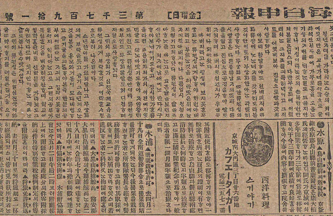 대흑산도 포경근거지에서 고래를 잡았다는 보도가 처음으로 실린 1918년 5월 3일 자 <매일신보>.