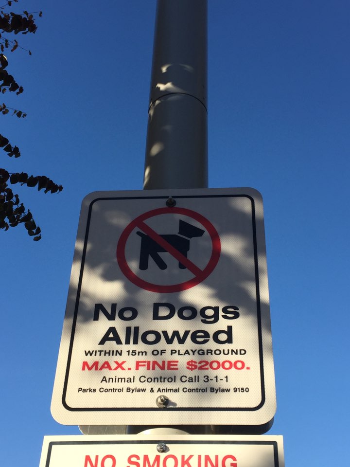어린이 놀이터주변 반경 15미터는 반려견 출입이 금지된다.