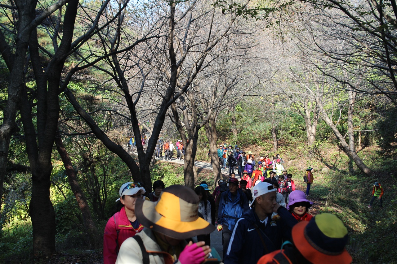 내포문화숲길 당진걷기 축제 아미산 자락을 걷고 있는 참가자들.