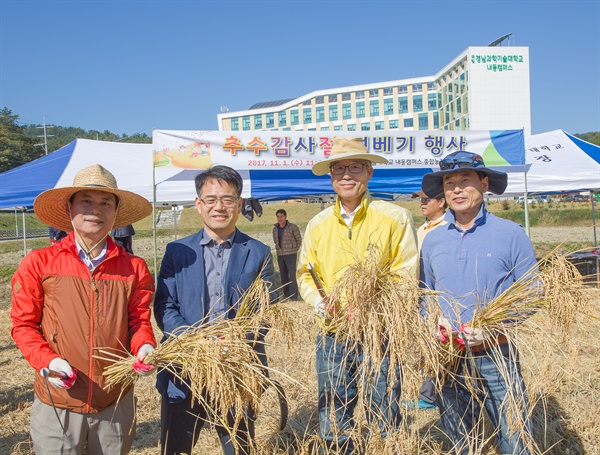 경남과학기술대학교 김남경 총장(오른쪽 두 번째)과 보직 교수들이 벼 베기를 하고 있다.