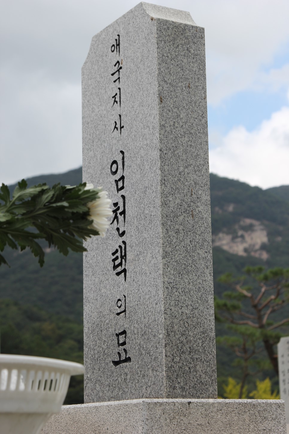 2004년 임천택 선생의 유해를 한국으로 모셔 왔고, 조국을 떠난 지 거의 100년이 지나 대전국립현충원 애국지사묘역에 묻혔다. 