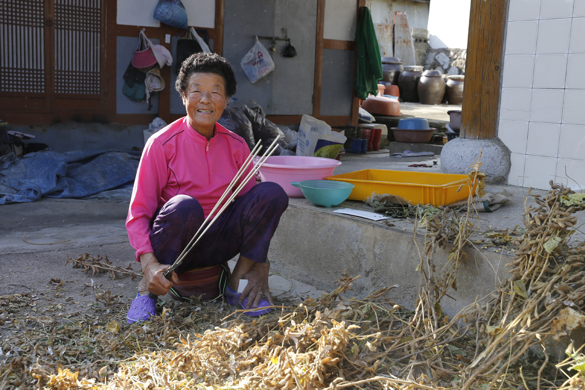조계순 할머니가 집 마당에 널어놓은 콩을 털며 얘기를 하다가 웃고 있다. 지난 10월 24일 오후다.