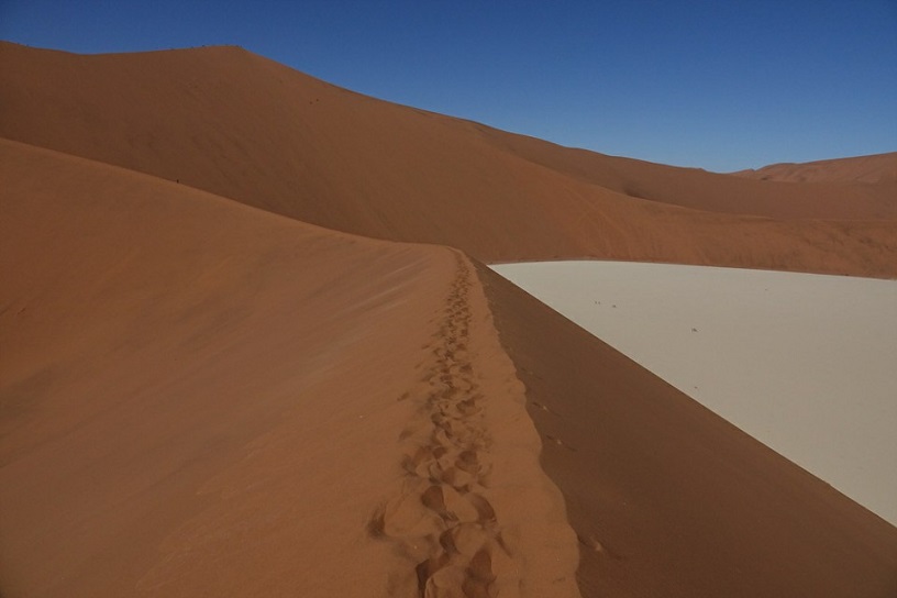 세계 유일의 붉은 모래 사막인 이곳 데드블레이의 사막언덕들은 이와 같이 칼날을 세워놓은 것과 같이 날카로운 모습을 하고 있었다.