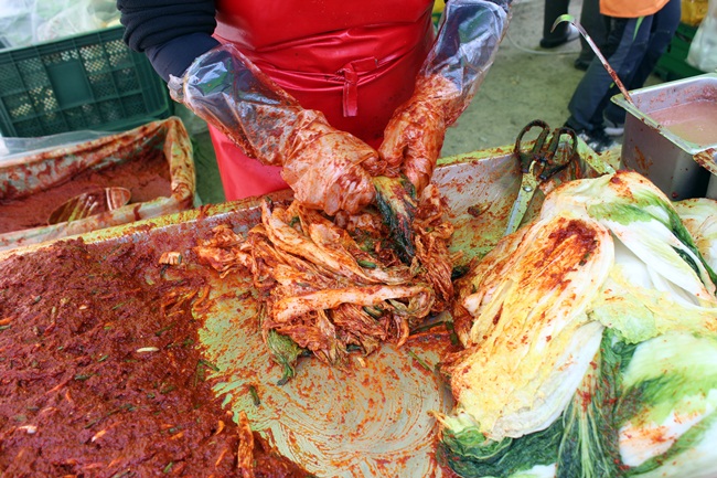 백양사 단풍축제장에 마련된 어느 부스에서 한창 배추김치를 담고 있습니다. 얼마나 입맛 땡기던지, 생김치에 연잎 밥을 먹기로 했지요.