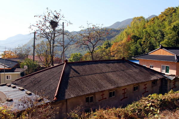  하동군 경천묘 앞에는 낡은 슬래브 지붕 아래 큼지막한 ‘왕(王)’자가 무려 5개나 적힌 집이 보인다. 잠시 시간이 머문 곳에서 옛 이야기를 소환했다. 신라 시대로 머나먼 과거로 여행을 떠난 기분이다. 