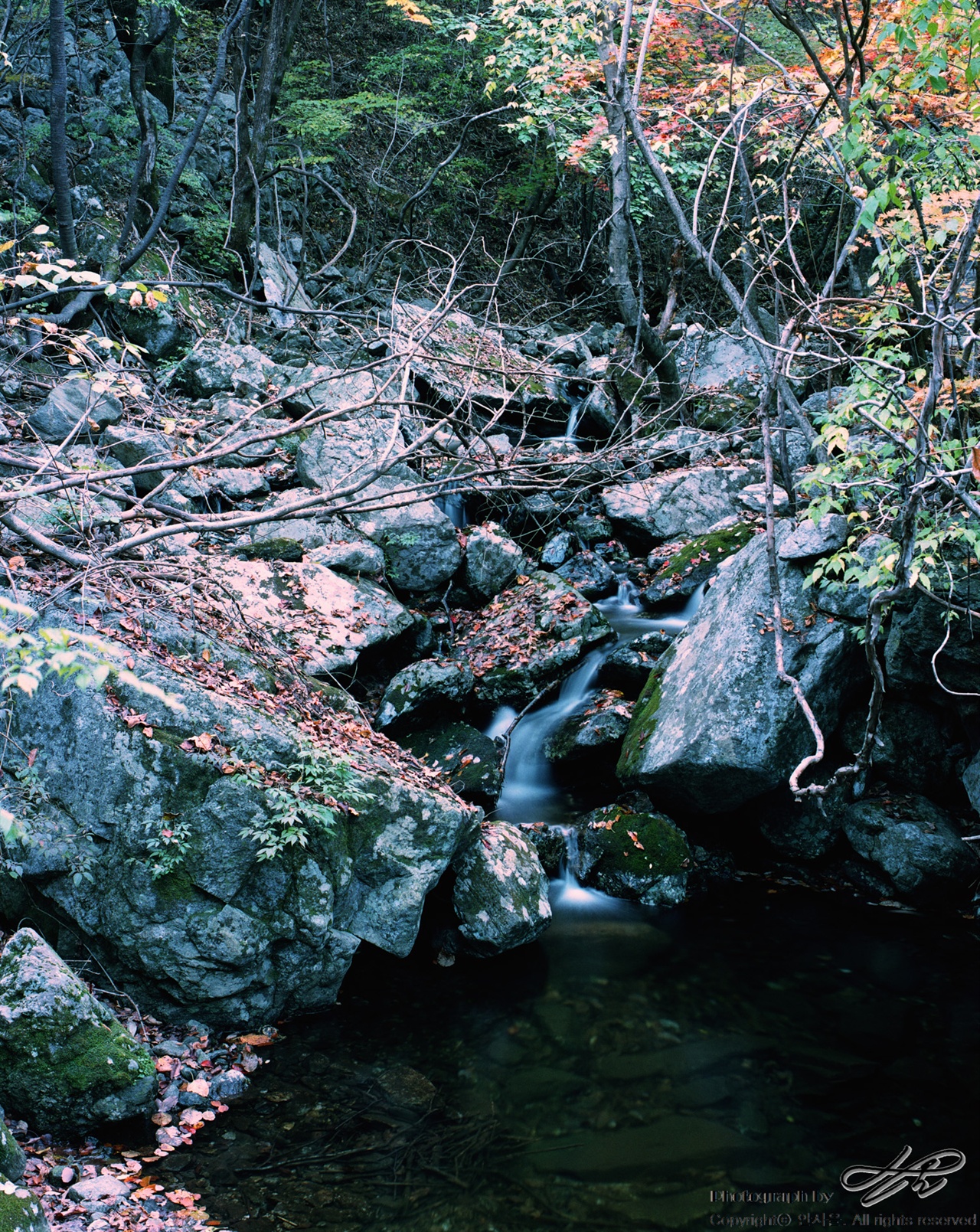 (Ektar100)갈잎들 사이로 흐르는 맑은 물.