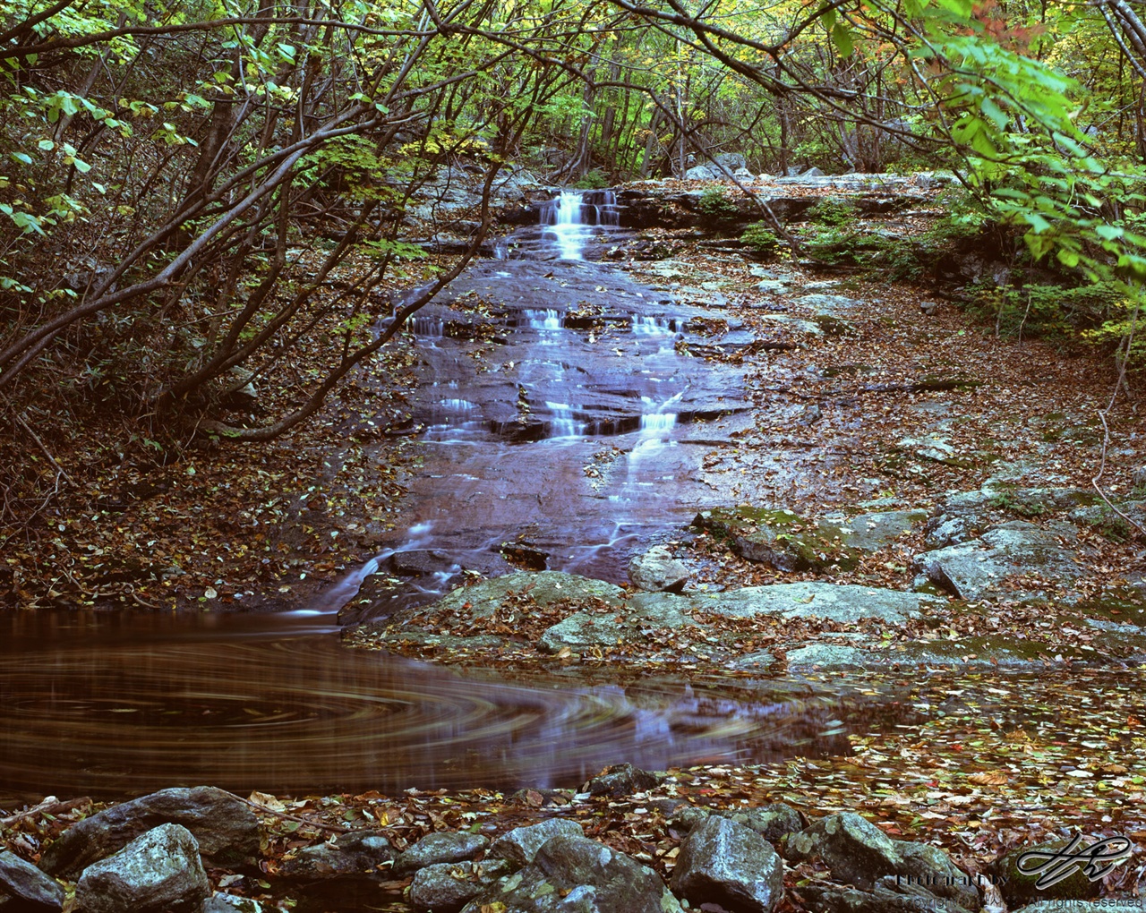 (Velvia50)1분간 노출을 주어 물의 흐름을 담았다. 낙엽이 물과 함께 휘돌아 내려갔다.