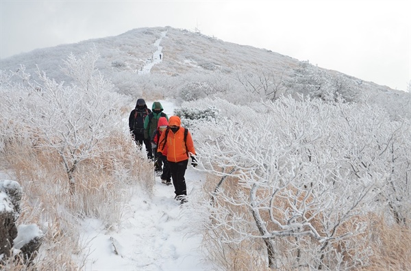 울산 신불산