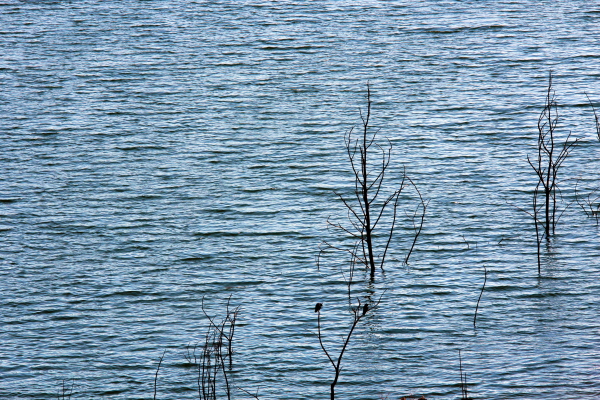 하동호 푸른 물줄기들이 잔잔하게 출렁거린다.