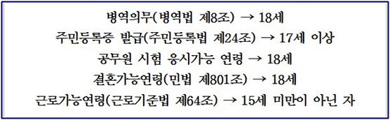 한국의 청소년들은 18세에 병역의무는 물론 결혼, 공무원시험 응시가 가능하나 투표권은 주어지지 않고 있다.