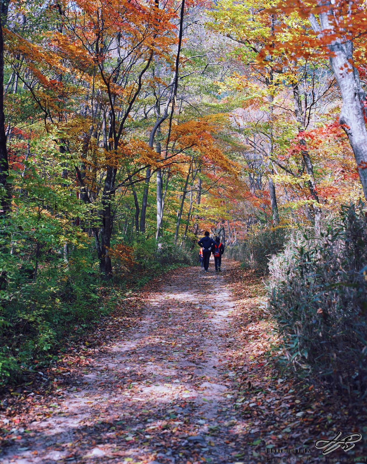 (Ektar100)가을 낙엽을 밟으며 두 남녀가 천천히 걷고 있다.