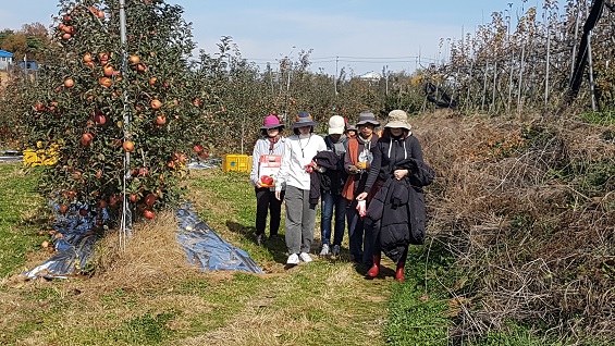  오전 작업을 마친 예산홍성환경운동연합 회원들이 식사를 하러 가고 있다. 