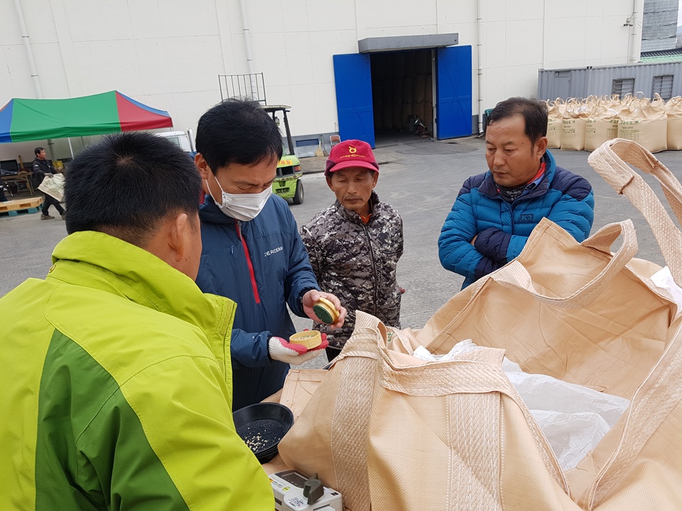  국립농산물품질관리원 홍성.청양사무소 직원이 벼 등급을 판정을 위해 검사를 진행하고 있는 가운데. 농민들이 등급 판정 검사를 지켜보고 있다.