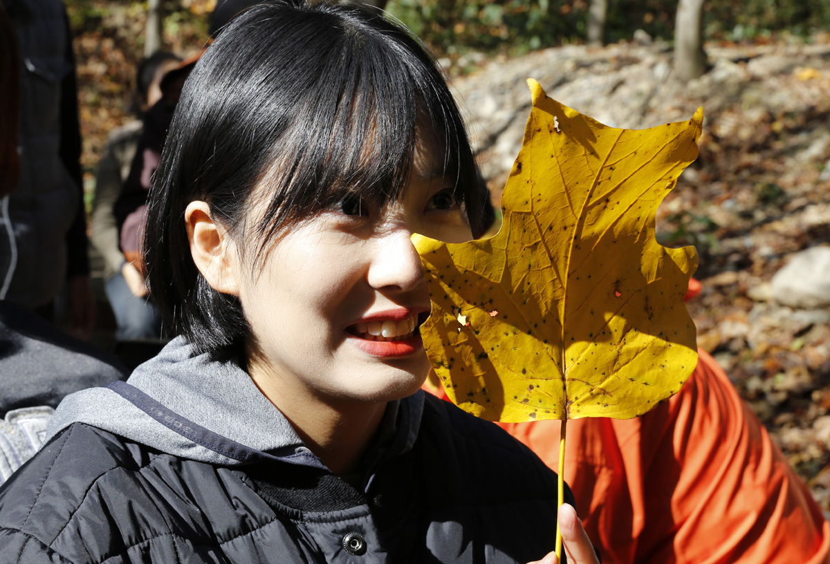 강진 초당림에서 단풍 든 낙엽을 들고 웃고 있는 김지향. 내년에 다른 대학으로의 편입을 준비하고 있다.