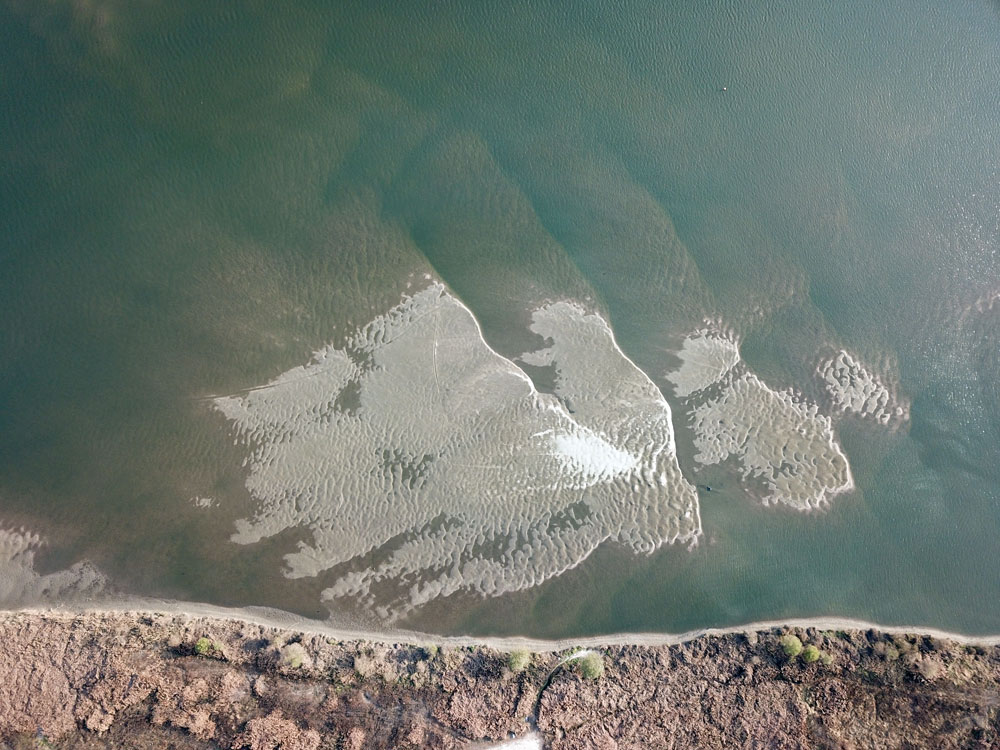  유구천과 금강이 만나는 합수부인 공주보 하류에 거대한 모래톱이 드러났다. 