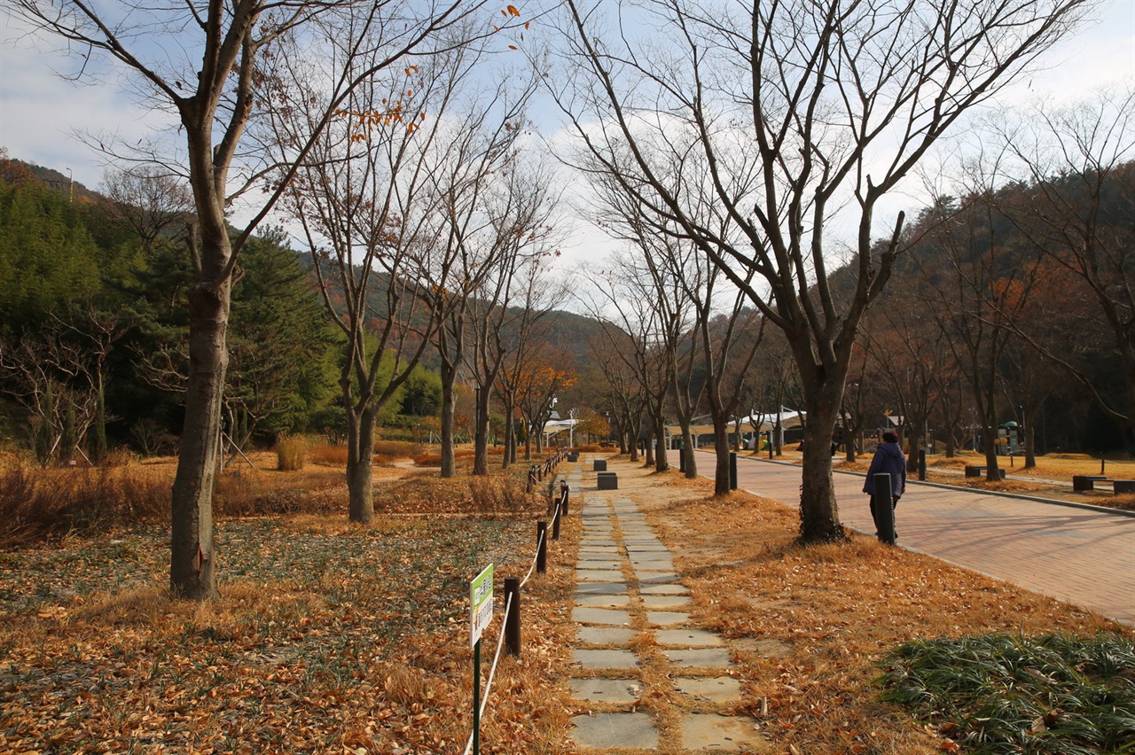 수목원 입구 대가야수목원