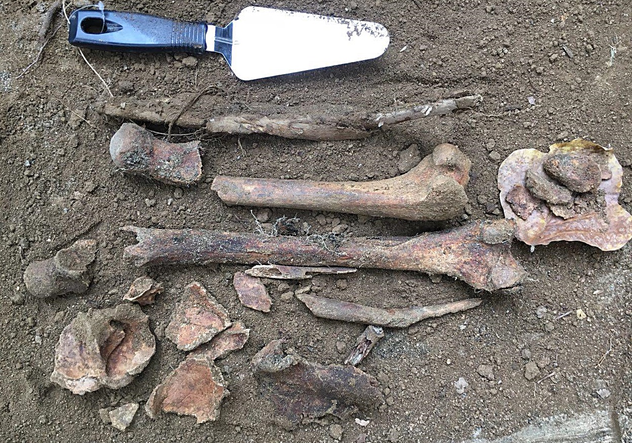지난 해 11월 시굴조사에서 드러난 충남 아산시 배방리 산기슭 폐광터에서 발견된 희생자 유해. 공종조사단은 시굴조사에서 확인된 유해를 오는 22일 부터 본격 수습한다. 