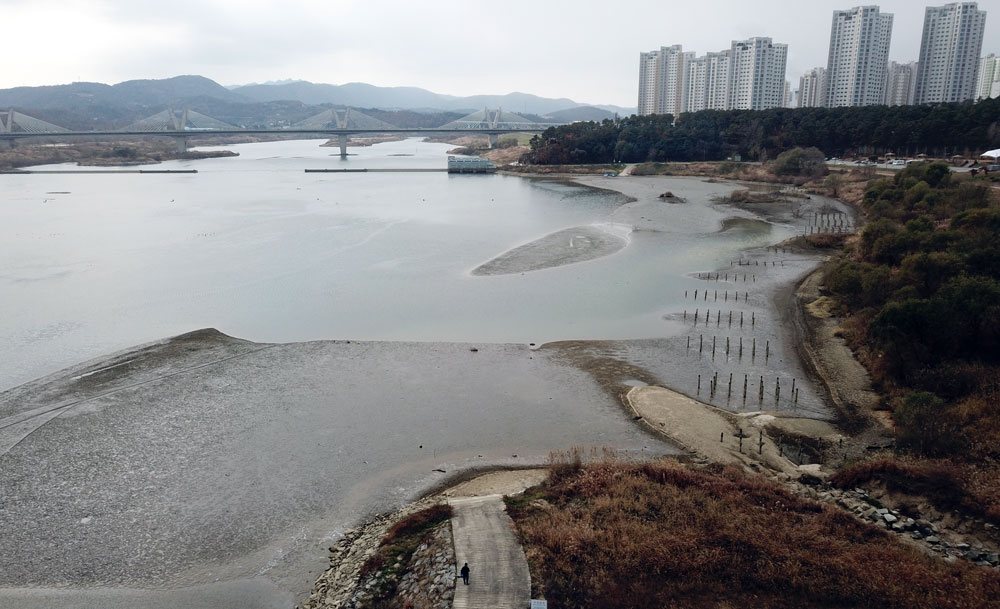 세종보 상류 500m 지점 힌두리대교 부근도 물이 빠지면서 바닥을 드러내고 있다.