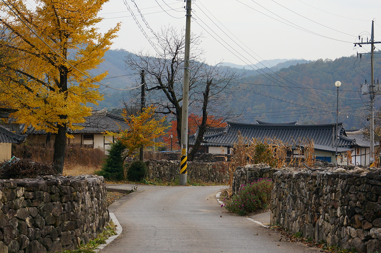 창마마을 정경  물야면 오록리에 있는 마을로 풍산김씨 집성마을이다.