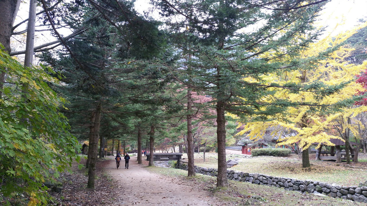 산행이라 쓰고 여행이라 읽다 문경새재 가을 주흘산(경북 문경)에서