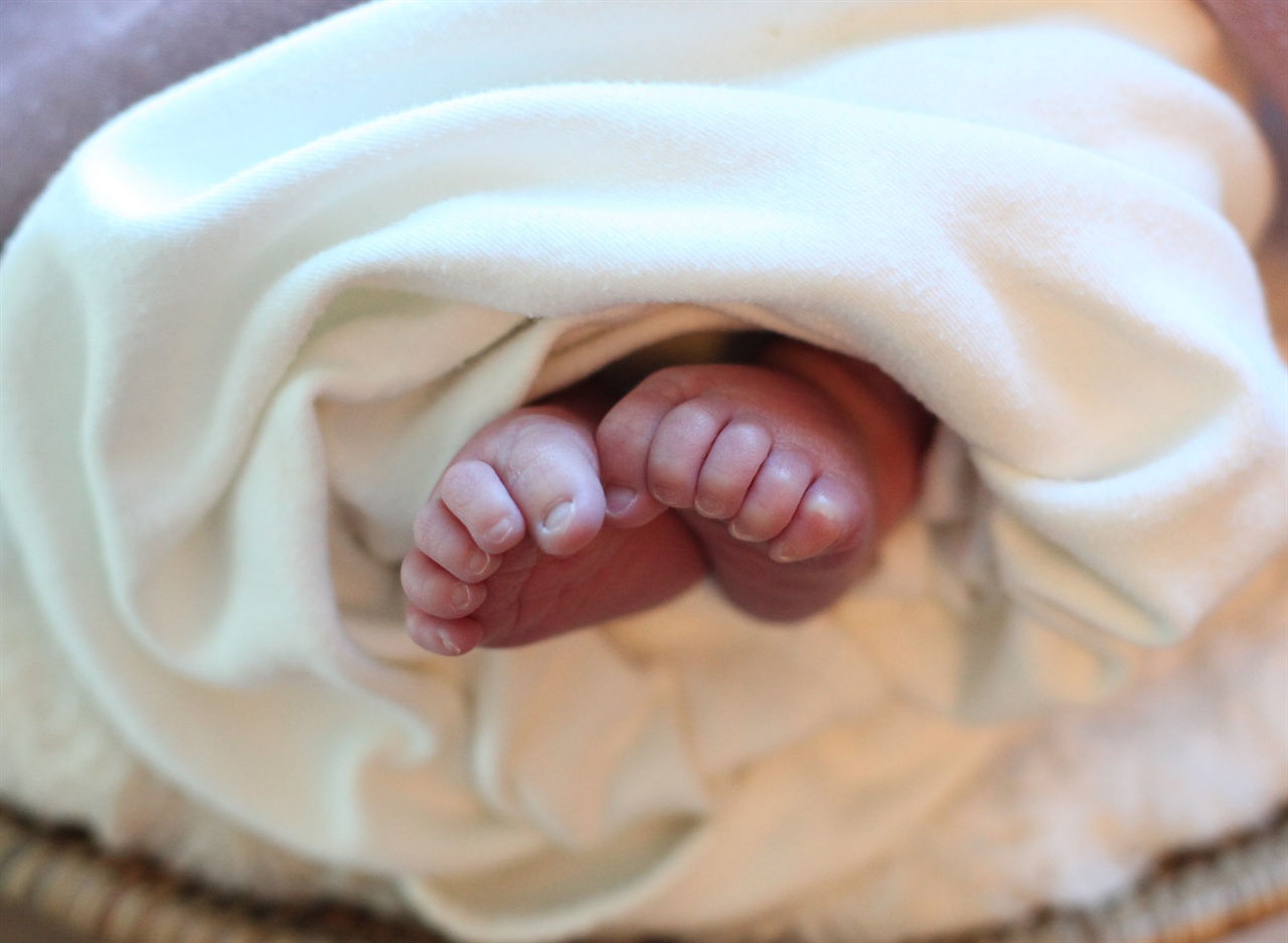 태어난 직후 손자의 발. 중환자실 입원 사유가 된 혈변 때문이었는지 원래 출생에 따른 긴장 때문인지 발가락들을 오므리고 있다. 