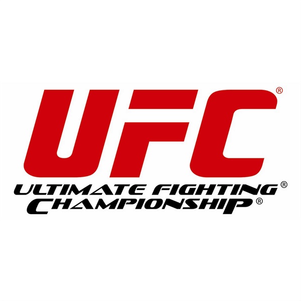  종합격투기 대회 UFC 로고