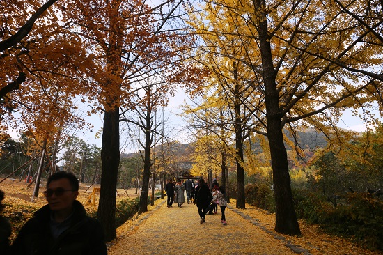 부석사는 일주문으로 오르는 길부터 탐방객의 시선을 빼앗는다.