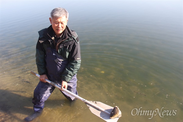 11월 26일 성기욱 창녕환경연합 사무국장이 낙동강 합천창녕보 상류에서 죽은 물고기 대가리를 건져 올려 보여주고 있다.