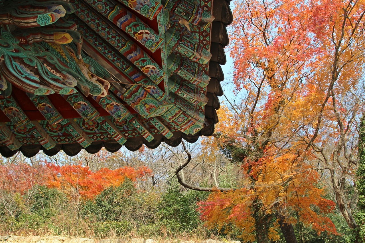 대웅전 뒤란 끝자락에 매달린 단풍은 가을 햇살을 받아 곱디곱게 빛난다. 

