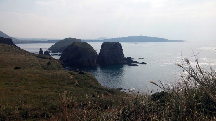   억새밭에서 내려다 본 섬2