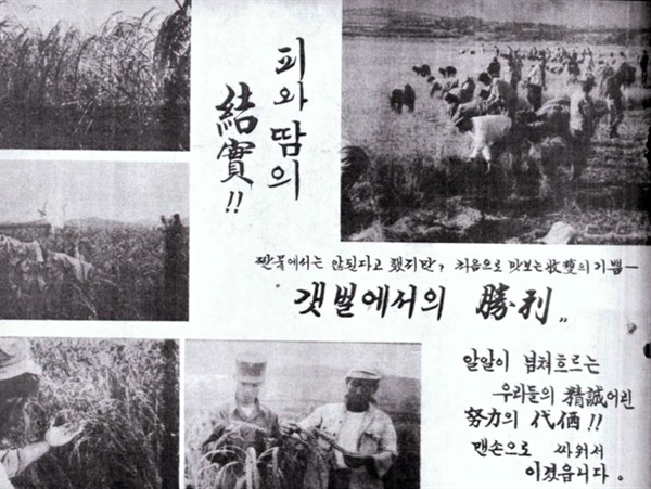 1964년 11월 24일 서산개척단에서 발간한 '형설촌 안내' 