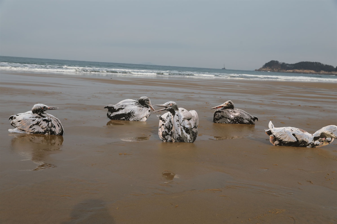 태안기름피해 당시 기름에 범벅이되었던 뿔논 병아리 등 피해 조류들 모형이 만리포 해변에 놓여있다. 