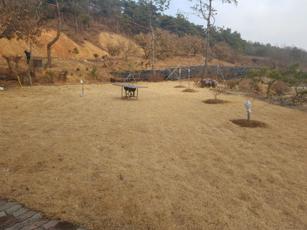 청주시시설관리공단(이하 청주시설공단) 고위간부 A씨가 공단일용직 노동자에게 본인 소유의 토지에서 노동을 강요하는 등 ‘갑질’을 일삼았던 것으로 확인됐다.(사진은 잔디가 식재된 A씨 소유 토지 전경)