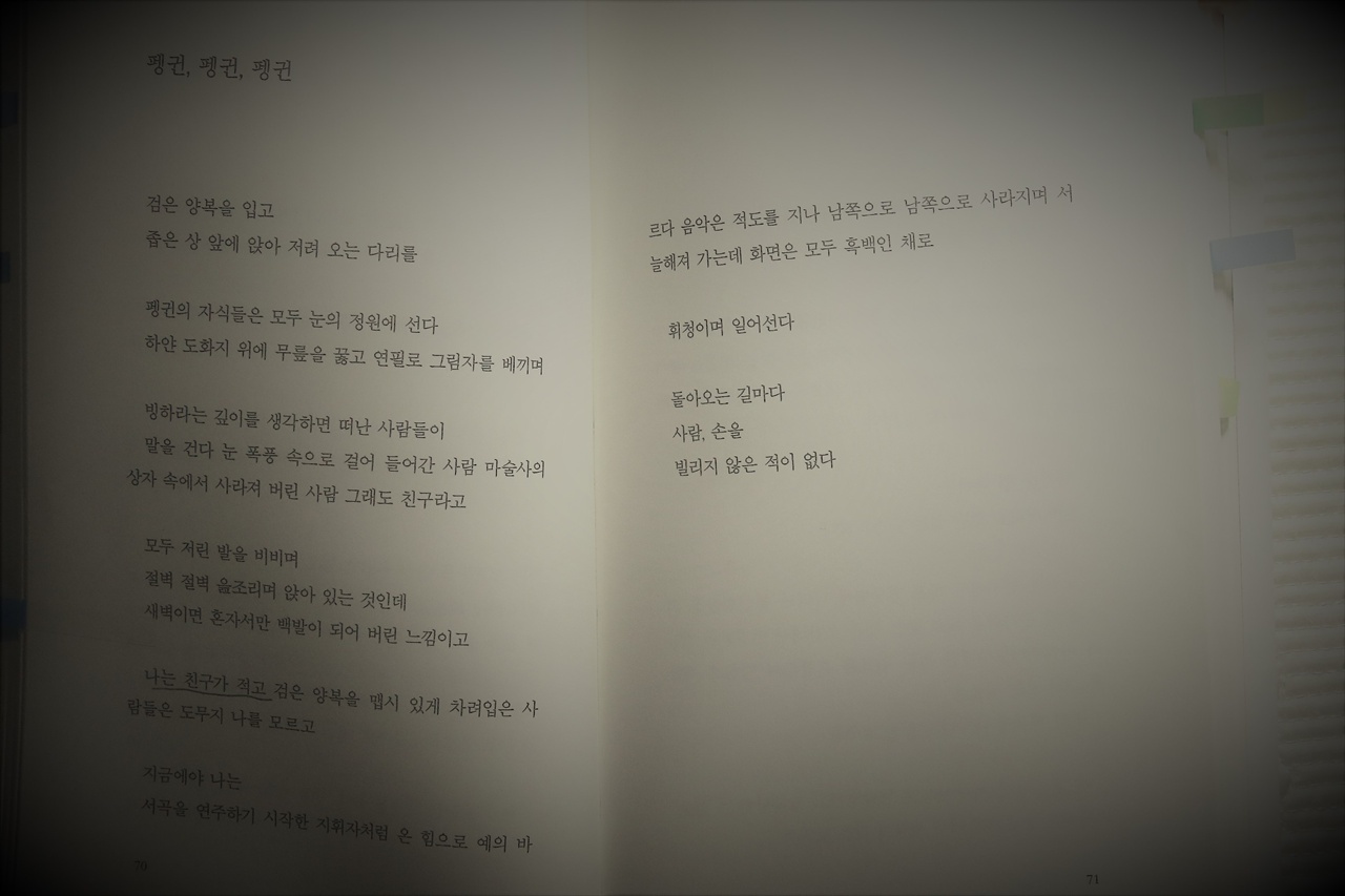 「펭귄, 펭귄, 펭귄」 전문 (70~71쪽) 